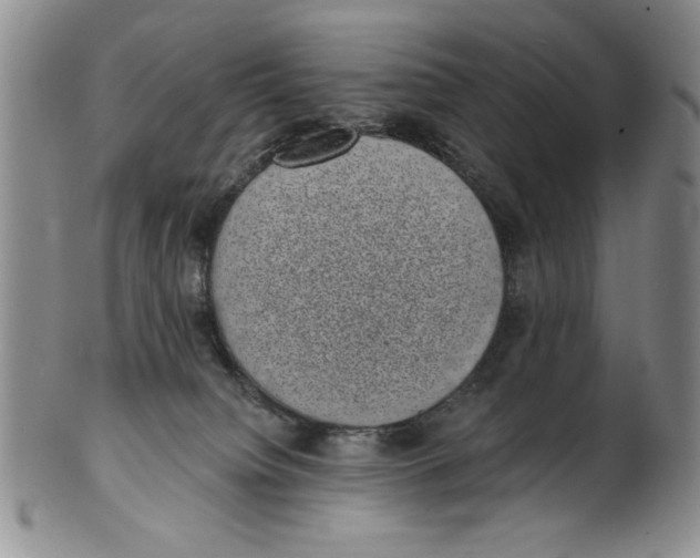 X0000101980084200808081626