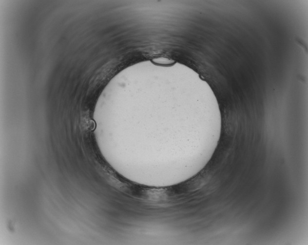 X0000101980085200808081626