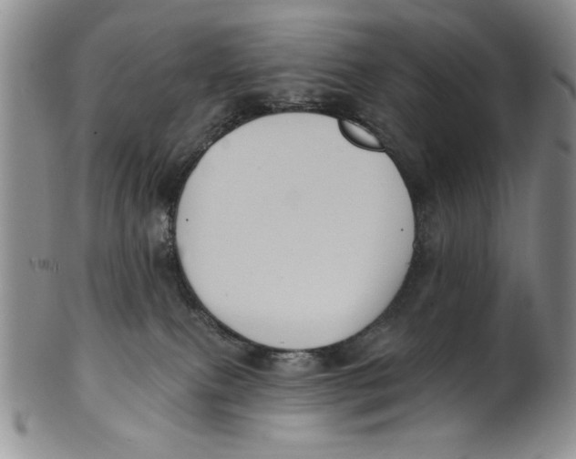 X0000101980087200808081626