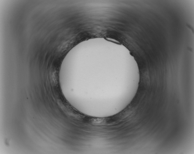 X0000101980088200808081626