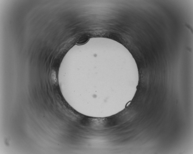 X0000101980089200808081626