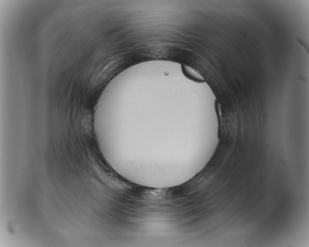 X0000101980092200808081626