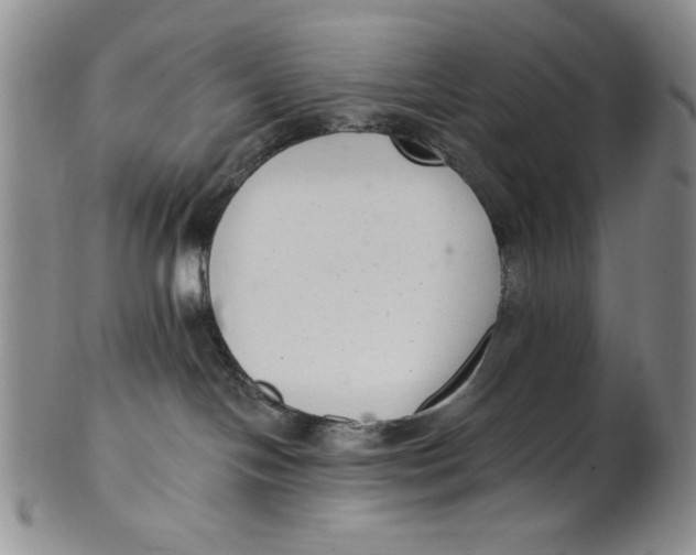 X0000101980094200808081626