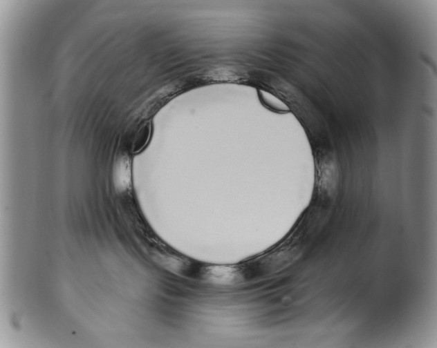 X0000101980095200808081626