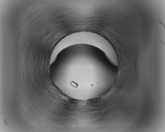 X0000101980096200808081626