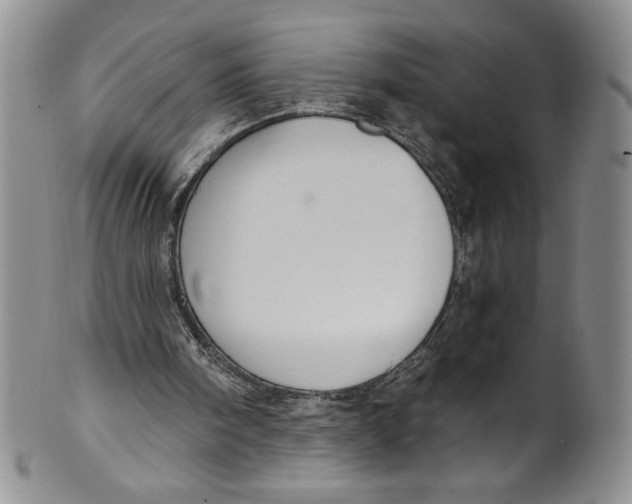 X0000101980098200808081625