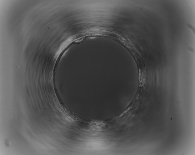 X0000101980099200808081625