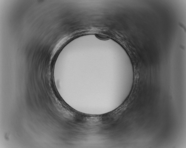 X0000101980102200808081625