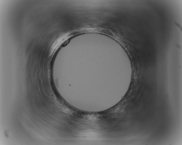 X0000101980103200808081625