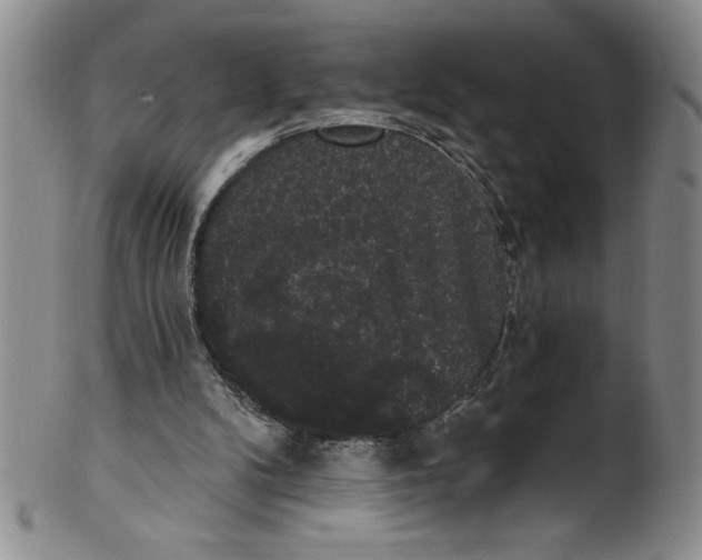 X0000101980104200808081625