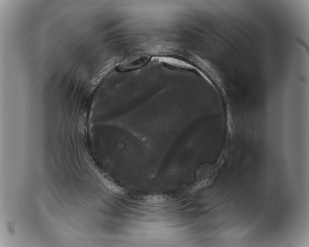 X0000101980105200808081625