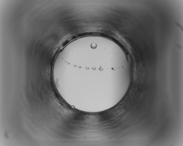 X0000101980107200808081625