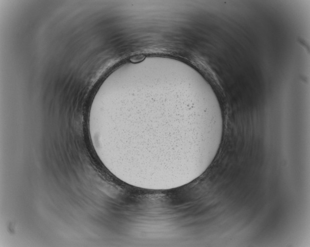 X0000101980108200808081625