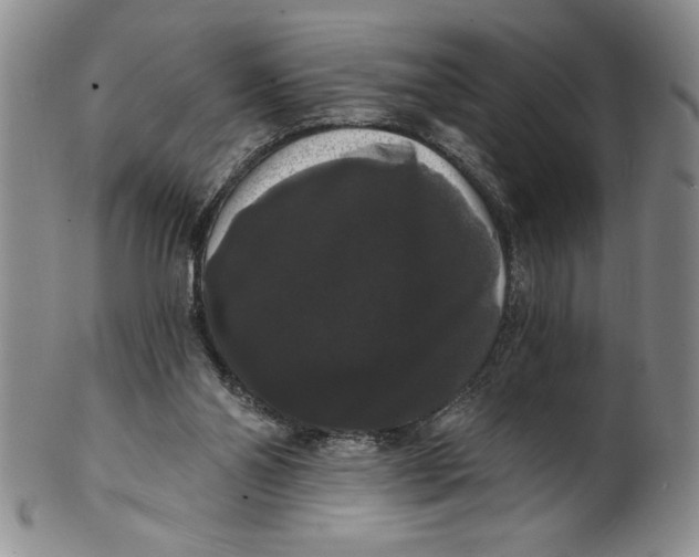 X0000101980110200808081625