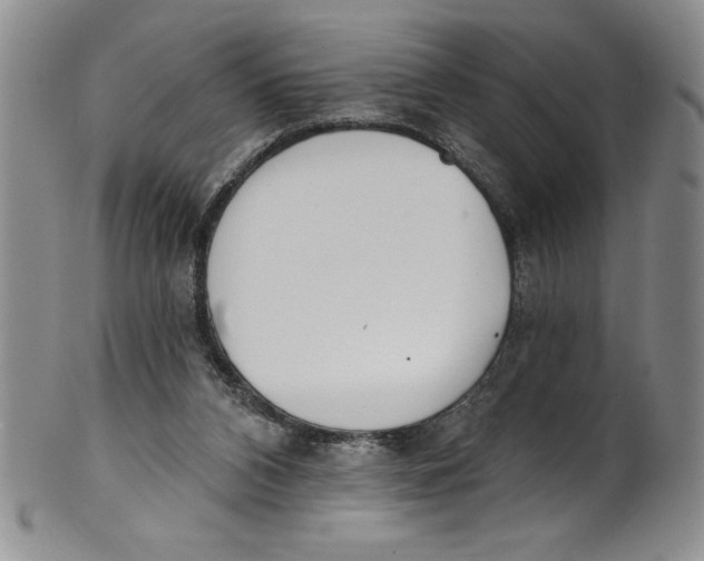 X0000101980112200808081625