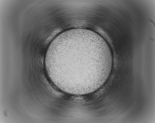 X0000101980113200808081625