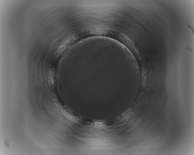 X0000101980114200808081625