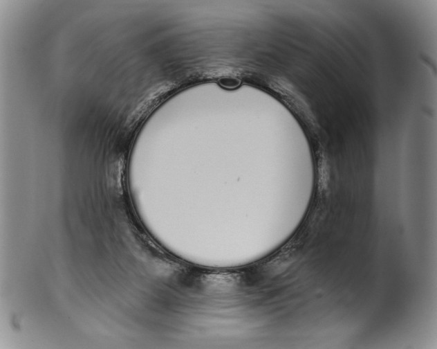 X0000101980115200808081625