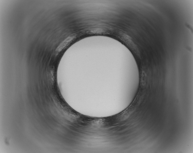 X0000101980116200808081625