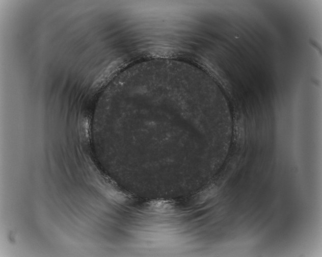 X0000101980117200808081625