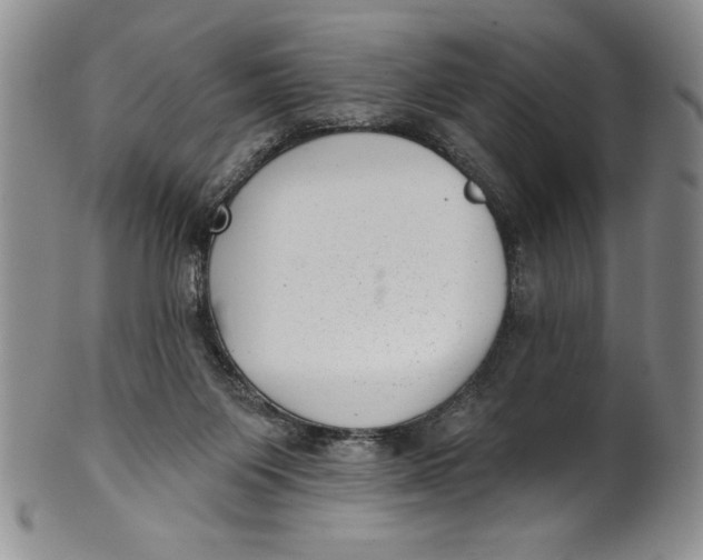 X0000101980119200808081625