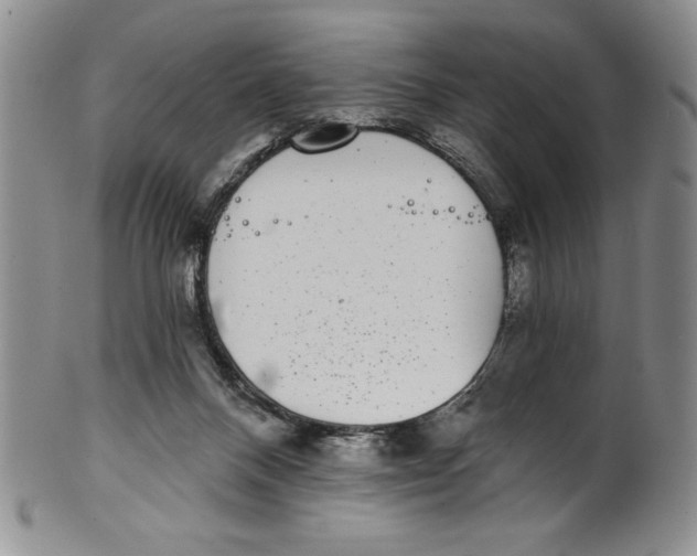 X0000101980120200808081625