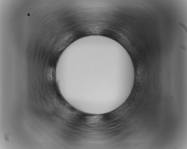 X0000101980122200808081625