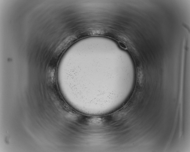 X0000101980123200808081625