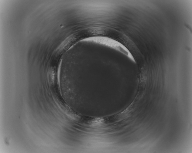 X0000101980124200808081625