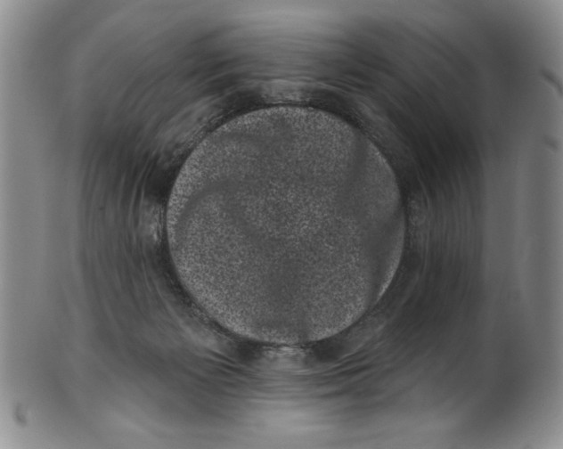 X0000101980125200808081625