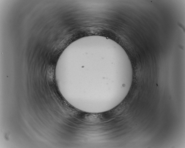 X0000101980129200808081625