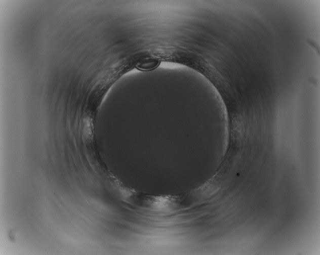 X0000101980130200808081625