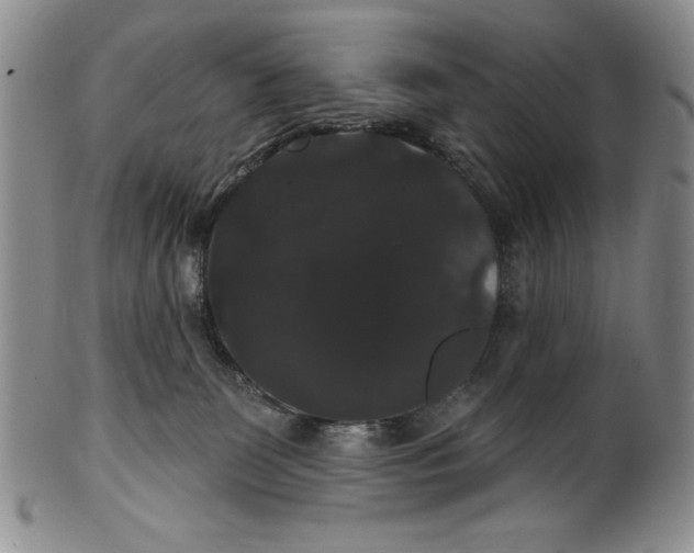 X0000101980131200808081625