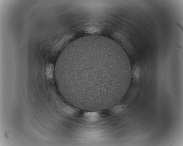 X0000101980133200808081624