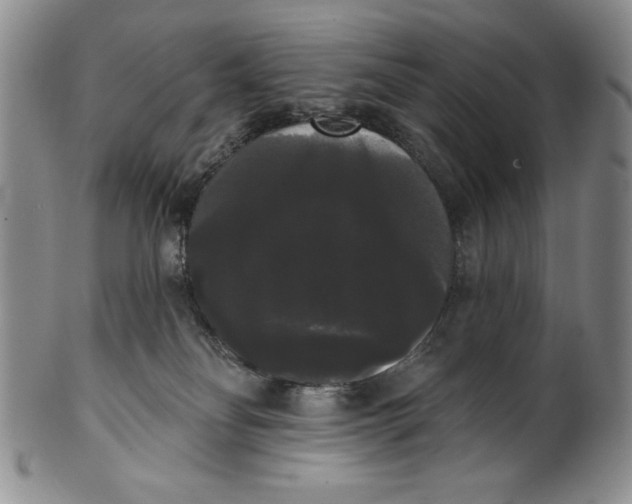 X0000101980134200808081624