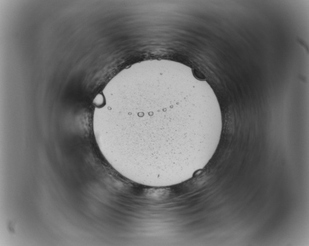 X0000101980135200808081624