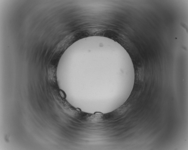 X0000101980138200808081624