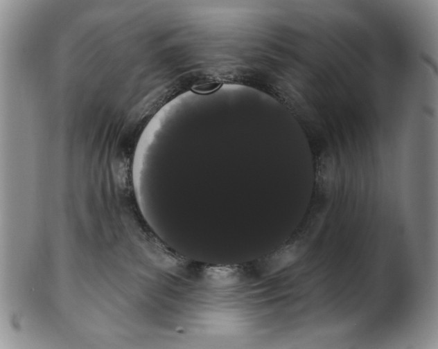 X0000101980139200808081624