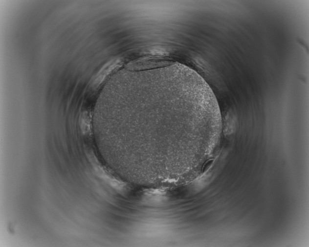 X0000101980140200808081624