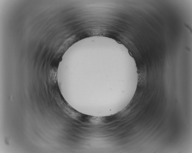 X0000101980142200808081624