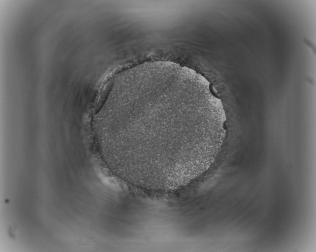 X0000101980144200808081624