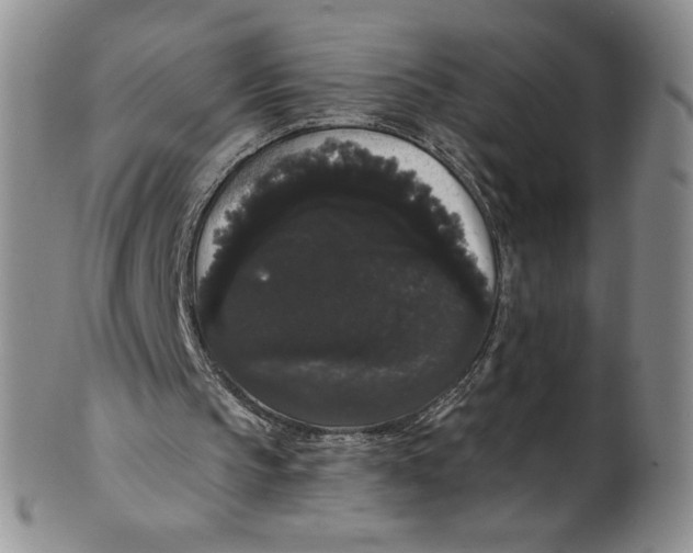 X0000101980145200808081623