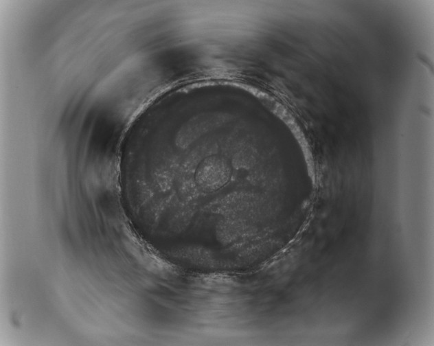 X0000101980146200808081623