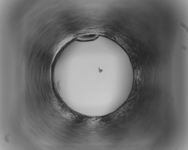 X0000101980148200808081623