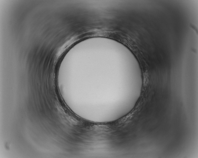 X0000101980150200808081623