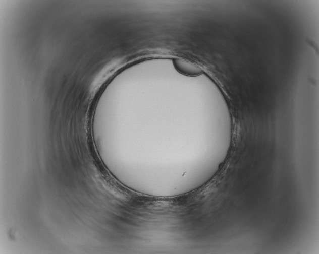 X0000101980151200808081623