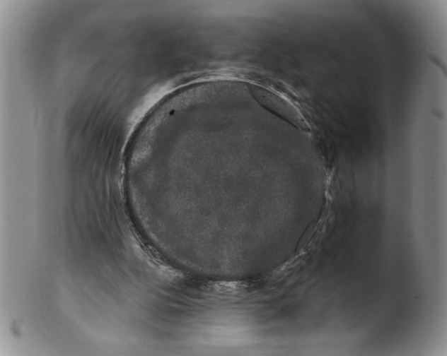 X0000101980152200808081623