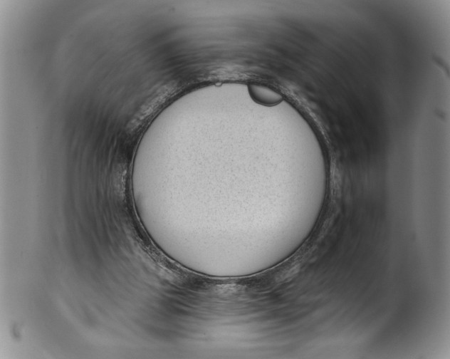 X0000101980153200808081623