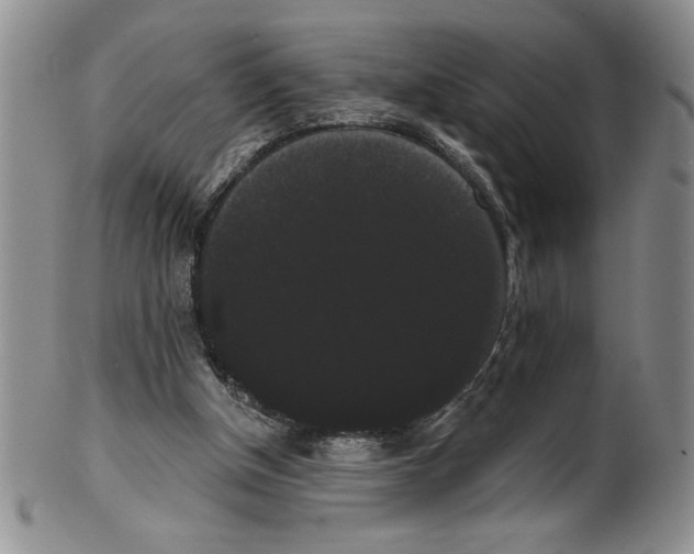 X0000101980154200808081623