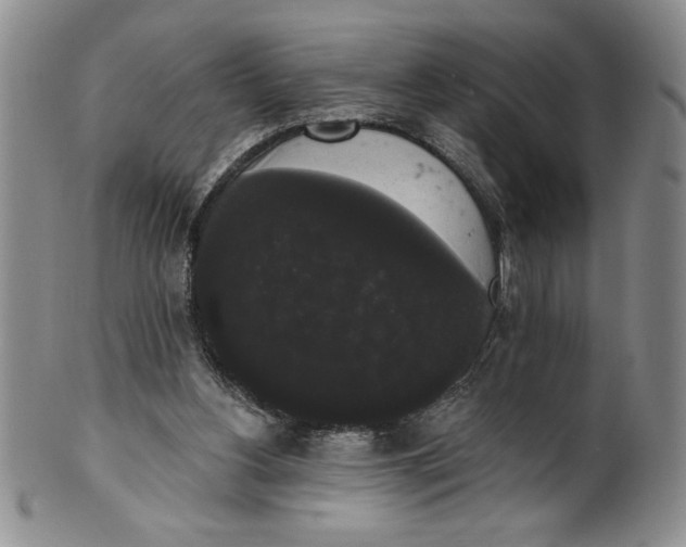 X0000101980156200808081623